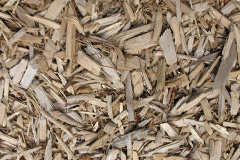 biomass boilers Weacombe